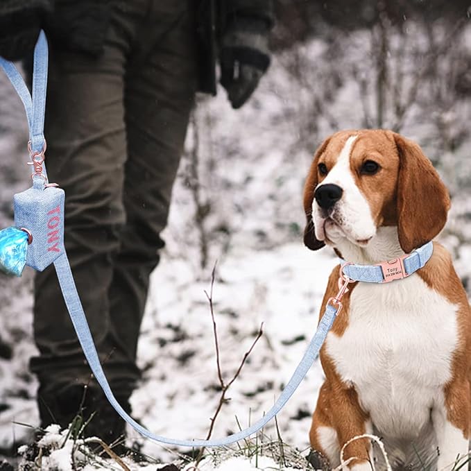 Personalized Dog Collar with Leash Custom Dog Waste Bag Dispenser Engraved Pet Collar Walk Lead Outdoor Pet Poop Bag Portable Blue M