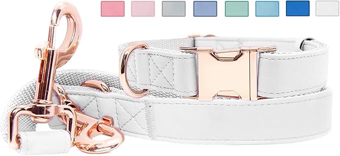Soft Leather Dog Collar and Leash (6.6') Set - Stylish Rose Gold Heavy Duty Metal Buckle, 4 Adjustable Lengths Leash for Small Medium Large Dogs - Comfortable & Easy to Clean White L(15.4"-24.8")