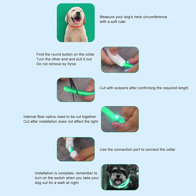 Light Up Dog Collar, Dog Collar Light LED Dog Collar Rechargeable Rechargeable Flash Dog Necklace Light in The Dark Dog Collar Lighted Dog Collar for Large Medium Small Dogs