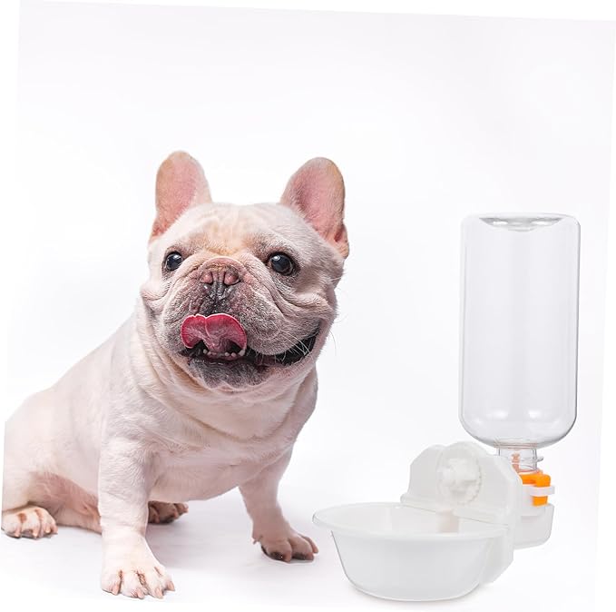 Pet Feeder Cat Dog Pigeon Water Fountain Automatic Drinking Bottle Pet Supplies Home Ornament