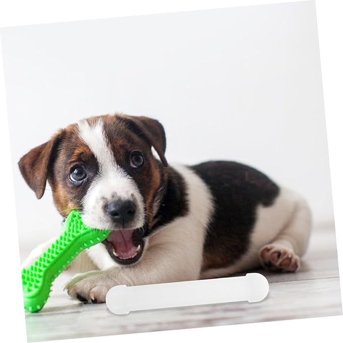 POPETPOP Scent Work Equipment for Dogs Dog Agility Training Supplies Nose Work Training Kit