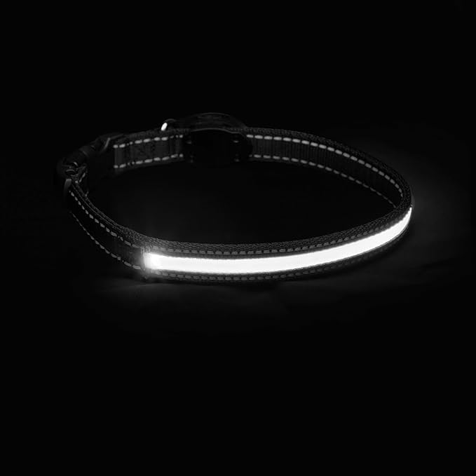 Sherry Kline LED Light-Up Pet Collar - USB Rechargeable - Flashing Glow in The Dark Size Large, Color: White