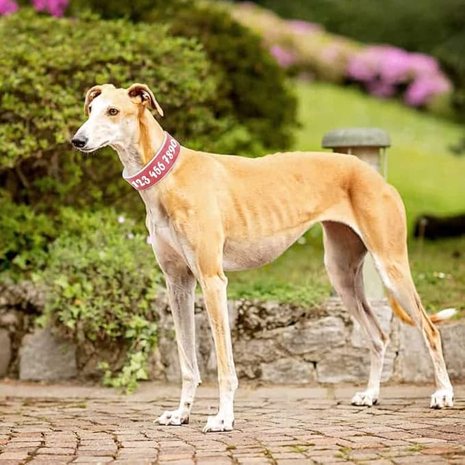 Custom Large Dog Collar Wide Leather Personalized Collars Medium Large Dog Pet Collars Customized for Dogs Printed Name ID Pink XXL