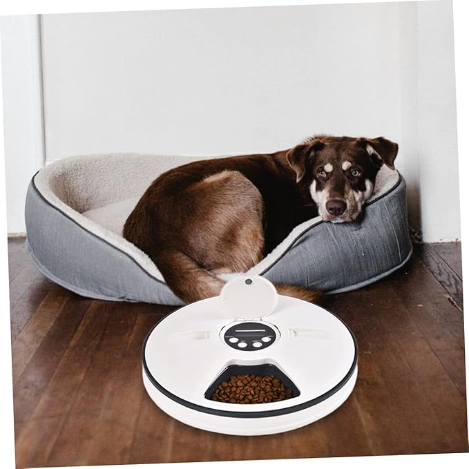 Sosoport Timed Auto Pet Cat Feeder Meal Capacity Control for Cats and Dogs Easy to Grey and Design Automatic Feeding