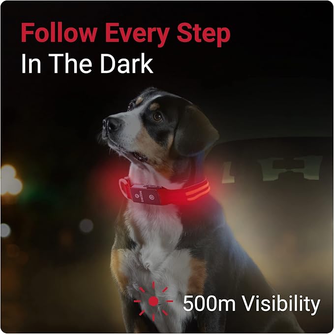 Tractive LED Light Up Dog Collar USB Rechargeable Waterproof (Red)