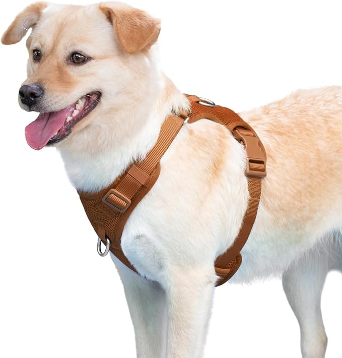 No Pull Dog Harness for Small Medium Large Dogs - Adjustable 2 Layer Mesh Dog Vest with Dual Clip, Escape Proof, Quick Release, Lightweight Breathable Mesh for Walking Hiking (Carmel Brown,M)