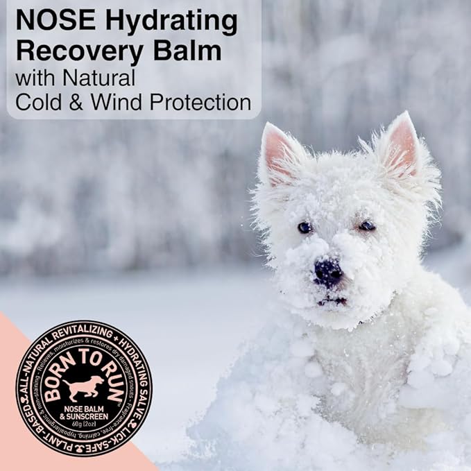 Born To Run Dog Nose Balm | Natural Snout Soother & Cold Wind Sun Protection | Moisturizes & Heals Dry Cracked Chapped Noses | Fragrance-Free Hyperkeratosis Relief Plant-Based Lick Safe Nose Cream 2oz