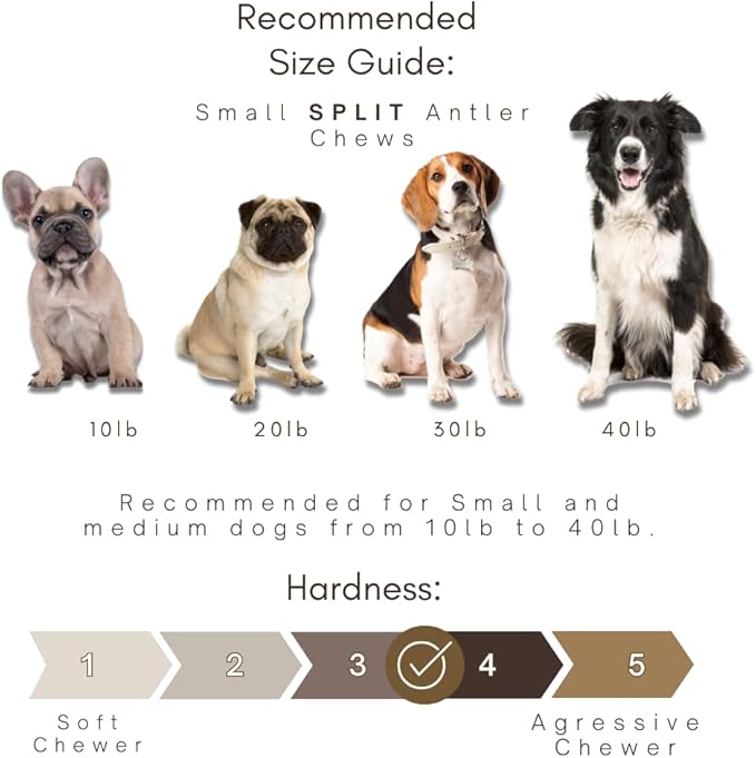 Whitetail Naturals Split Elk Antler Dog Chews (6 Pack, Small) Long-Lasting Bones for Aggressive Chewers, Odor-Free Half-Cut Elk Antlers for Dogs
