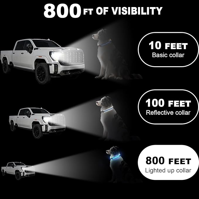 Light Up Dog Collar-Rechargeable & Long-Lasting Power LED Dog Collar Lights for Night Walking, Waterproof & Safety Glowing Collars for Medium Dogs [Blue-M]