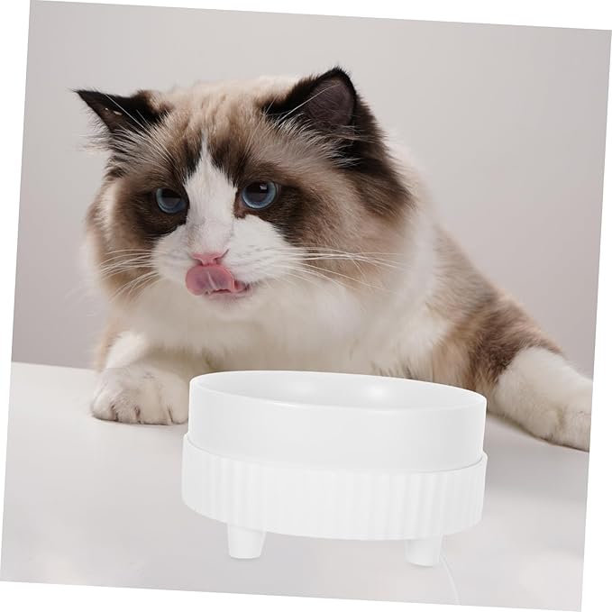 BESPORTBLE Pet Feeder Ceramic Bowl Automatic Cat Water Dispenser Warm Water Bowl Noisy Indoor Cat Safety