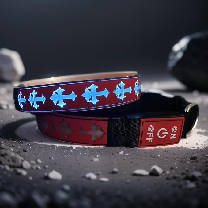 Personalized USB-C led Light up Dog Collar with Airtag Holder, IP68 Waterproof,15 Modes Changing Multicolored Lighting (RED, M(11.8-15.7"))