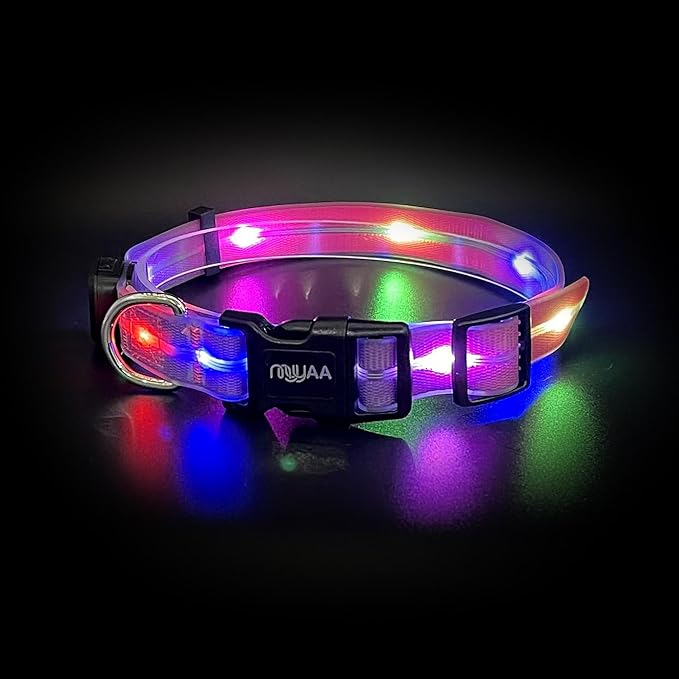 Light up Dog Collars,LED Dog Collar Rechargeable,Glow in Dark Dog Lights for Walking at Night for Small Medium, Large Dogs (Purple Pink)