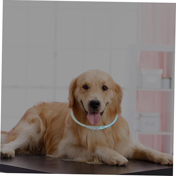 BESPORTBLE Led Collar for Dogs Puppy Led Light USB Rechargeable Fashionable Pet Decoration