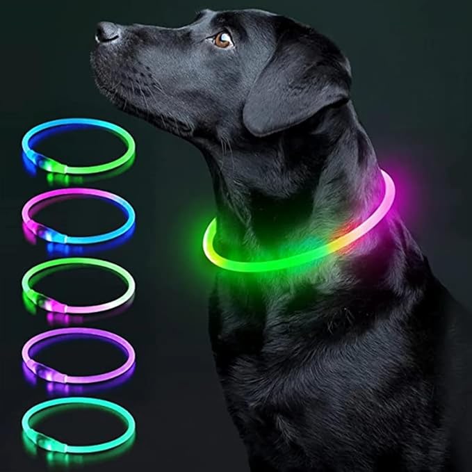 USB Rechargeable Luminous Collar Adjustable Led Glowing Dog Collar for Large Small Dogs Cat Night Light Collar Pet Safety Harnes (Orange USB Charging,XL Neck 42-56 cm)