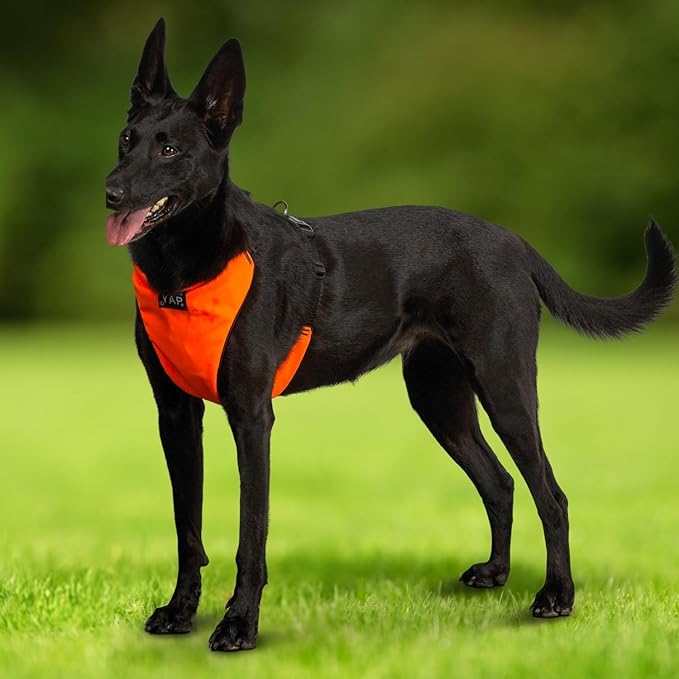 YAP Techno® No Pull Dog Harness, 4-Way Adjustable, Temperature Controlled Dog Vest Harness, Chokefree Dog Harnesses with Easy Control Handle for All Breeds; 7-16 lbs (Aero Blue, Extra Small)
