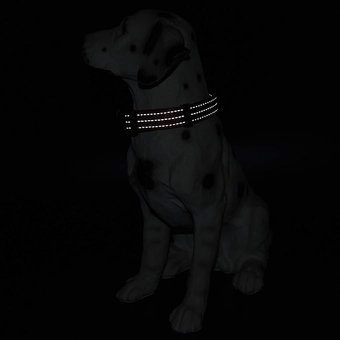 Mile High Life Dog Collar | Nylon Reflective Dog Collars | Light Weight Puppy Collars | Red Dog Collars for Large Dogs (Solid Red, Large)