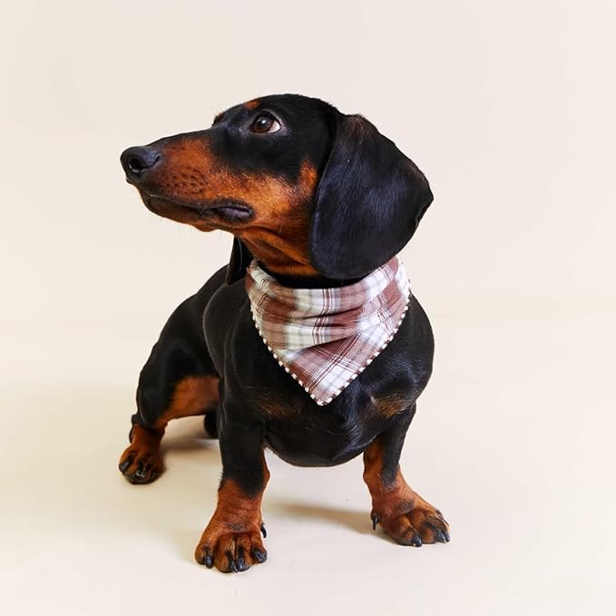 Double Layers Two Tones Dog Cotton Square Bandana Bibs Scarf Kerchief for Small Medium Dogs Boy or Girl - DCB06 B&B