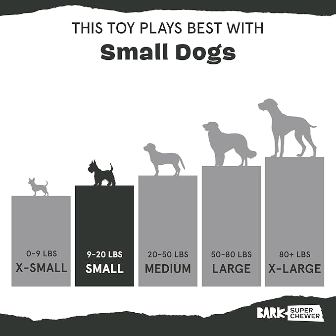 Barkbox Super Chewer Tough Dog Chew Toys for Aggressive Chewers, Treat Dispensing (Origin - Small)