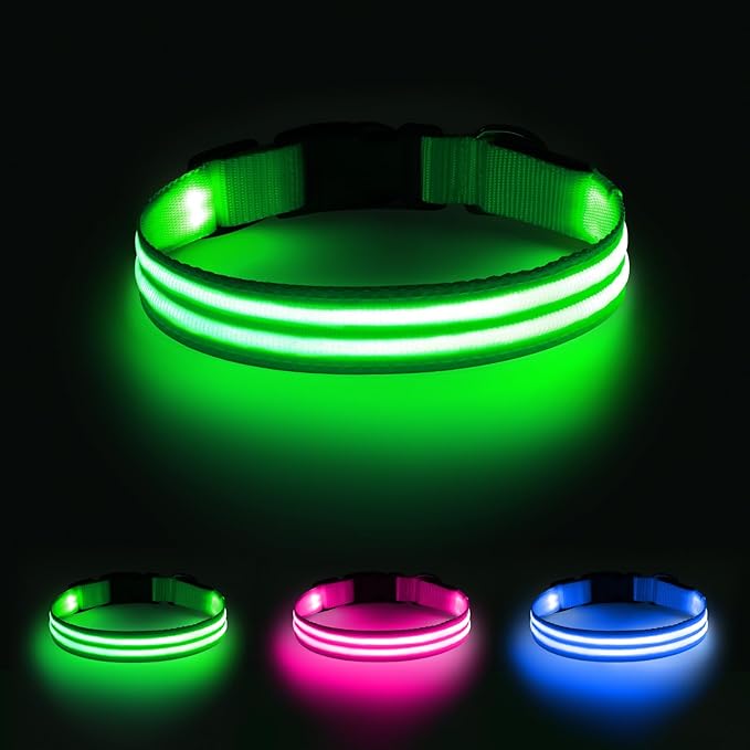 Illumifun Lighted Dog Collars for Night, USB Rechargeable Light Up Dog Collar, Water-Resistant LED Dog Collar Glow in The Dark (Green, Medium)