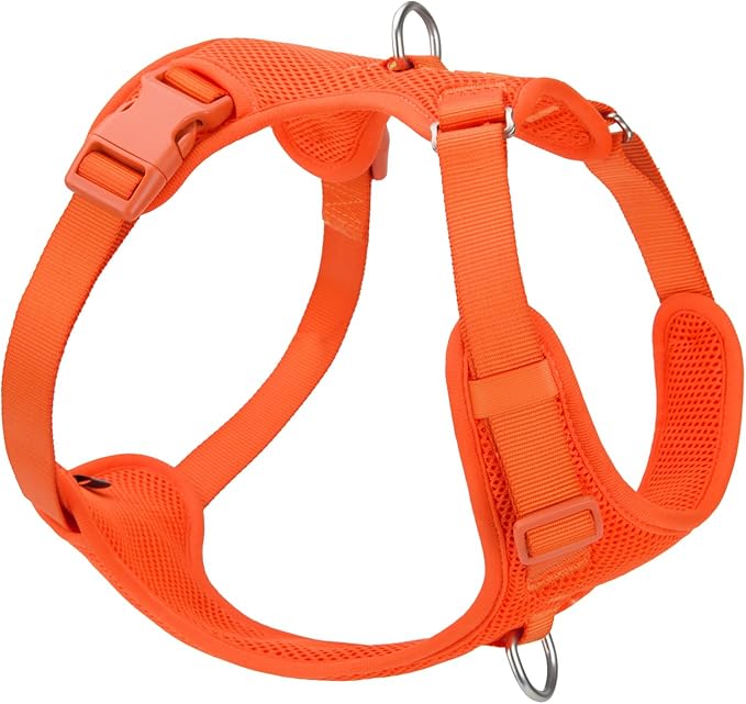 No Pull Dog Harness for Small Medium Large Dogs - Adjustable 2 Layer Mesh Dog Vest with Dual Clip, Escape Proof, Quick Release, Lightweight Breathable Mesh for Walking Hiking (Orange,XL)
