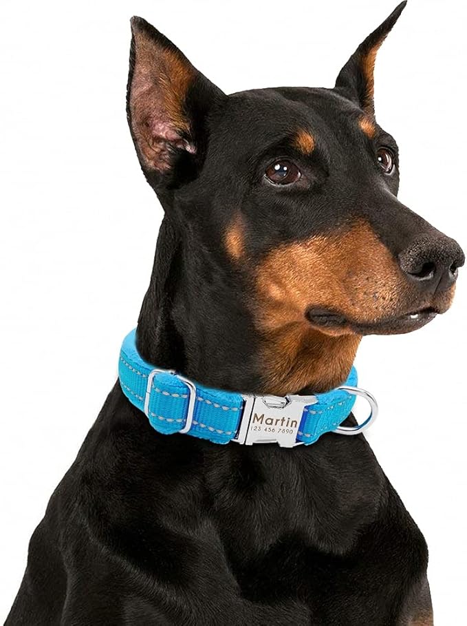 Dog Collar Personalized Reflective Large Dog Collars Nylon Adjustable Costomized Collar for Small Medium Big Dogs Pet Pitbull Blue M