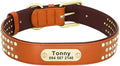 Rhinestone Custom Dog Collars Leather Personalized Crystal Pet Collar Padded Collars Adjustable for Small Medium Large Dogs Brown XXL