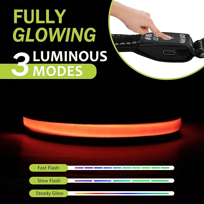 Lighted Dog Collars Rechargeable, Glow in Dark Dog Collar Waterproof, Flashing Led Dog Collars, Light Up Dog Collar for Night Walking (Orange, Pack of 1, S)