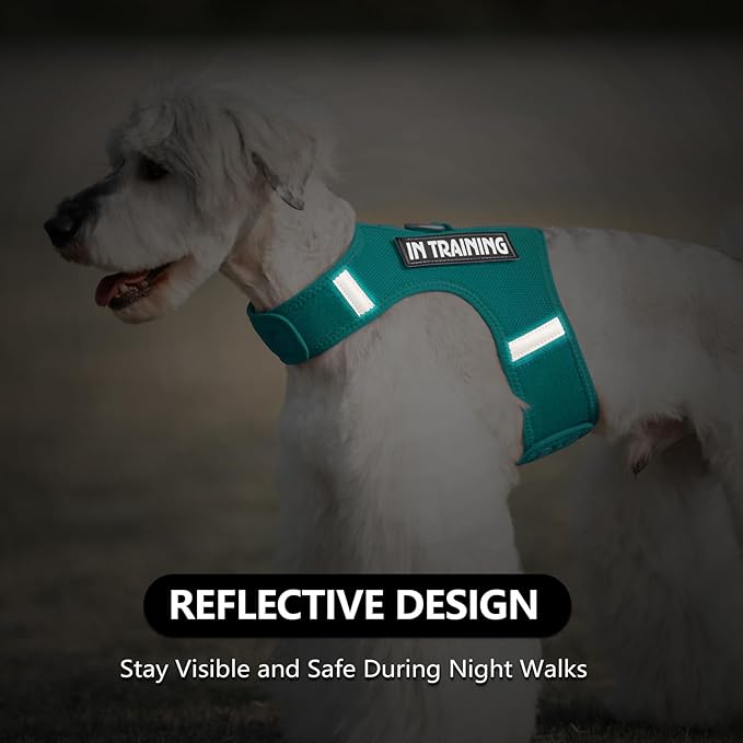 Dog Harness for Puppy – Adjustable Reflective Easy Put On Soft Mesh Vest for Small Dogs with 2 Patches (MARRS Green,L)