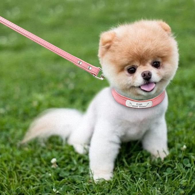 Personalized Dog Collar and Leash Padded Adjustable Customized Pet Collars and Leashes for Small Medium Dogs Cats Chihuahua Pink M