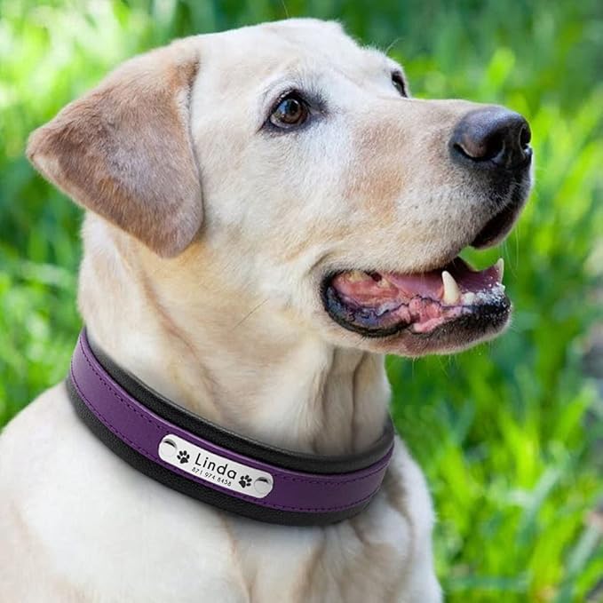 Large Dog Collar Genuine Leather Dog Collar Personalized Pet Name ID Collar Padded Customized for Medium Large Dogs Purple L