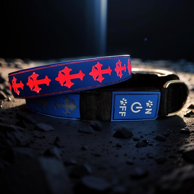 Personalized USB-C led Light up Dog Collar with Airtag Holder, IP68 Waterproof,15 Modes Changing Multicolored Lighting (Blue, L(15.7-19.7"))