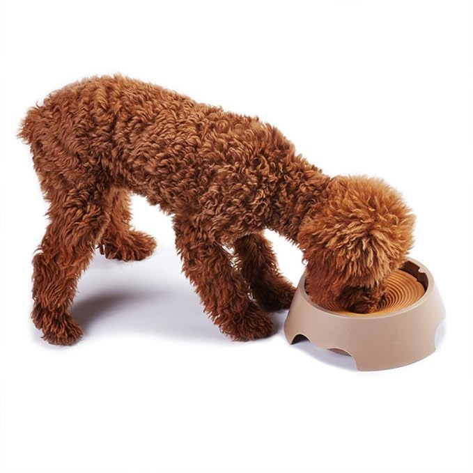 Slow Feeder Dog Bowl Anti-Choking Automatic Water pet Bowl No Spill Dripless Water Bowl for Dogs and Cats