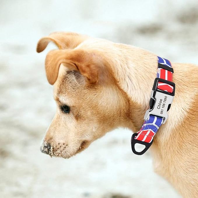 Cute Print Personalized Dog Collar Custom Nylon Dog Collar Engraved Name ID Adjustable for Small Medium Large Dog Chihuahua 160 Blue Collar M
