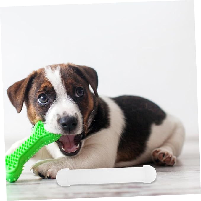 Scent Training Kit for Dogs Dog Nose Work Tool Agility Training Scent Supplies