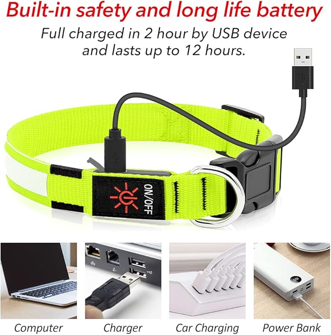 BSEEN Light Up Dog Collars - Rechargeable Puppy Collar, Adjustable Dog Glow Collar, Reflective Pet Collar, Glowing Dog Lights for Night Walking (Neon Green, Small)