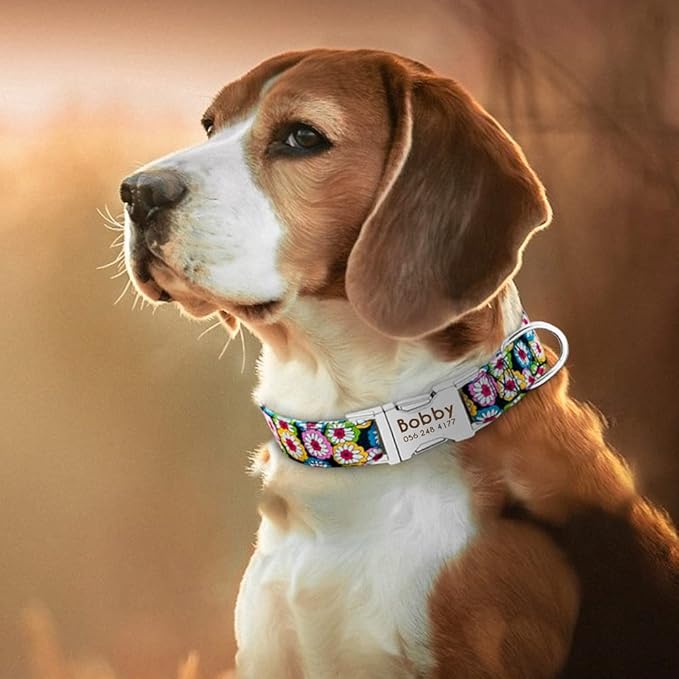 Dog Collar Personalized Nylon Small Dogs Puppy Collars Engrave Name ID for Small Medium Large Pet Pitbull German Shepherd 3 S