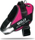 Personalized No-Pull Dog Harness with Name Patch, Adjustable, Reflective, Padded, Heavy Duty Pet Vest to Prevent Tugging, Pulling, or Choking, Training and Walking, Rose Red, XS