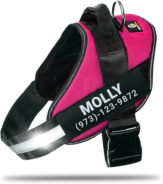 Personalized No-Pull Dog Harness with Name Patch, Adjustable, Reflective, Padded, Heavy Duty Pet Vest to Prevent Tugging, Pulling, or Choking, Training and Walking, Rose Red, 2XL