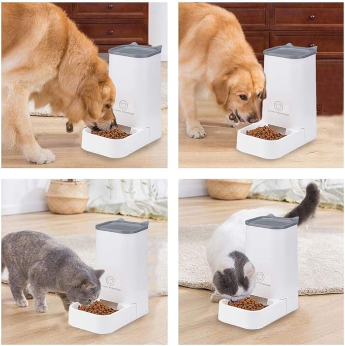 XhuangTech Automatic Feeder Set, 1-Gallon Water Dispenser and 2.1kg Pet Food Feeder, Small Pet Waterer and Feeder, Self-Dispensing, Polypropylene Material, For Cats and Dogs