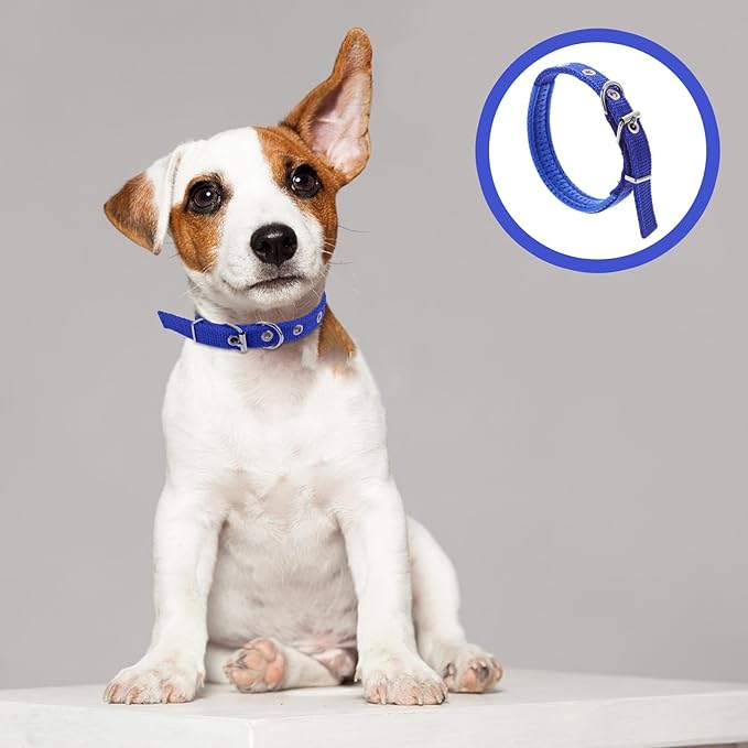 GLEAVI Pet Collar for Dogs and Cats, Adjustable Blue Foam Collar with Alloy Buckle, Lightweight Neck Decor for Outdoor and Party Use, Size S, Suitable for Puppies and Small Breeds