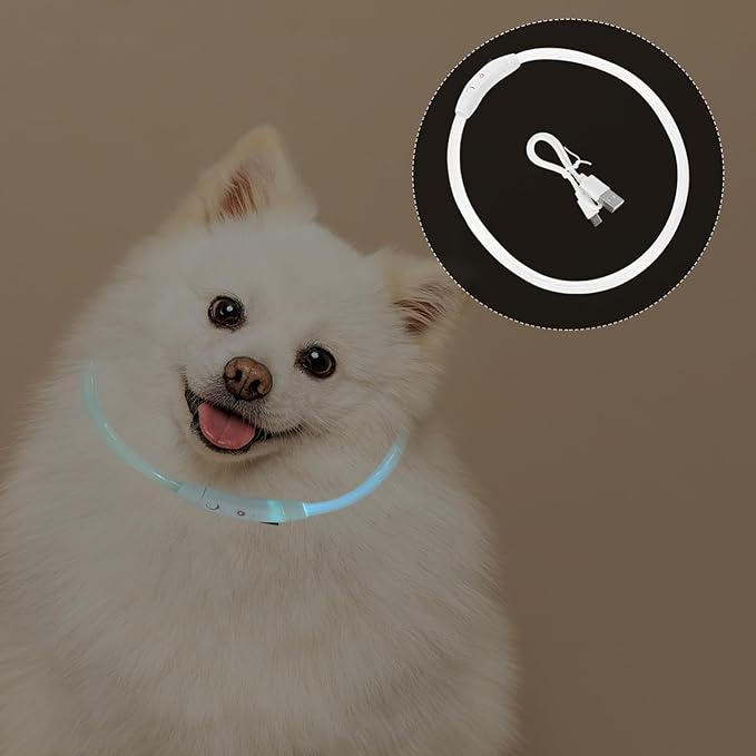 Mikikit Led Dog Collar USB Rechargeable for Puppies Night Safety Pet Glow Collar Led Light
