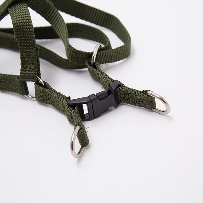 Durable Nylon Braided Dog Leash Dog Harness Dog Collar No Pulling Adjustable Harness Soft Padded Collar for Small Dog/Puppy/Cat