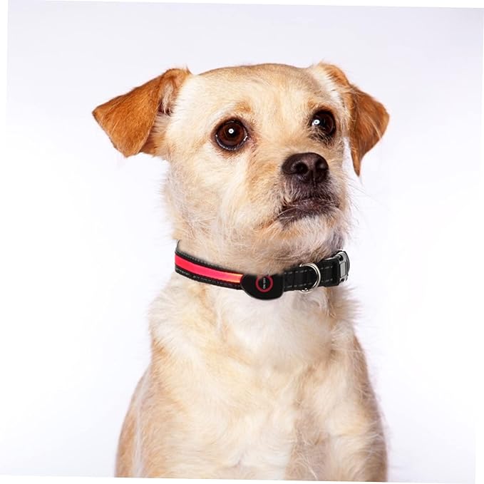 Toyvian 1 Set Night Glowing USB Rechargeable Dog Collar Lightweight Comfortable LED Pet Collar for Dogs Present for Pet Owners Stylish Durable Design