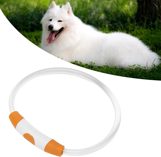 LED Dog Collar, USB Rechargeable Promote Visibility Dog Glow Collar for Outdoor Walking (Orange)