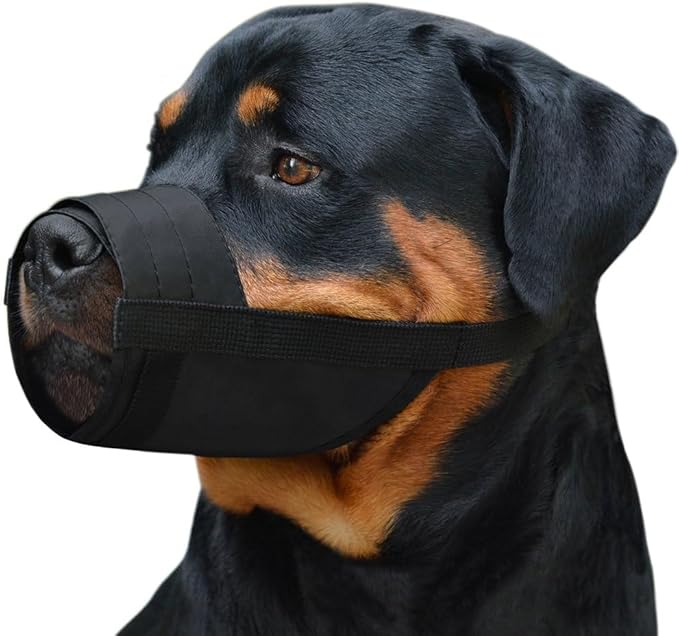 CollarDirect Nylon Dog Muzzle - Adjustable Soft Breathable Nylon Dog Mouth Guard Cover for Small, Medium and Large Dogs, Anti Chewing, Barking & Biting (2 Black, L/XL)