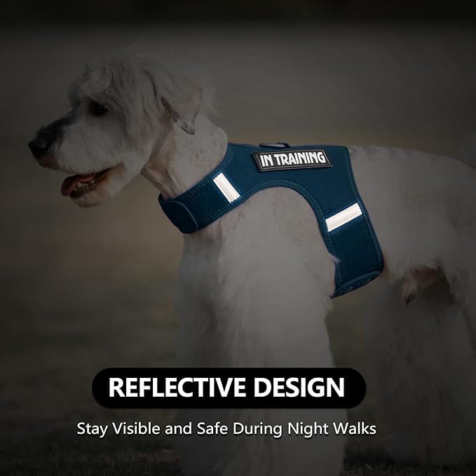 Dog Harness for Puppy – Adjustable Reflective Easy Put On Soft Mesh Vest for Small Dogs with 2 Patches (Prussian Blue,S)