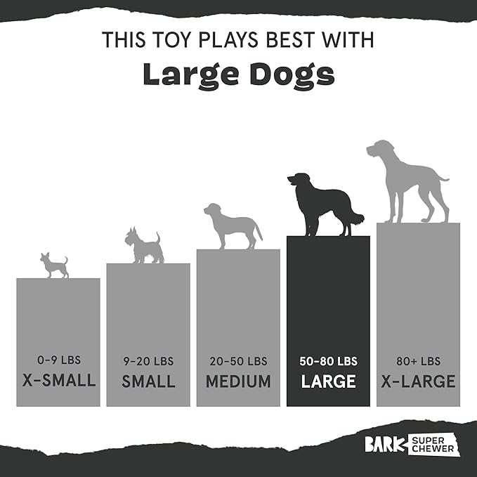 Barkbox Super Chewer Rope Dog Toy for Aggressive Chewers with Reinforced Strap (Tailspin - Large)