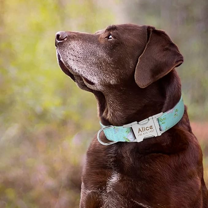 Dog Collar Personalized Nylon Small Dogs Puppy Collars Engrave Name ID for Small Medium Large Pet Pitbull German Shepherd 2 M