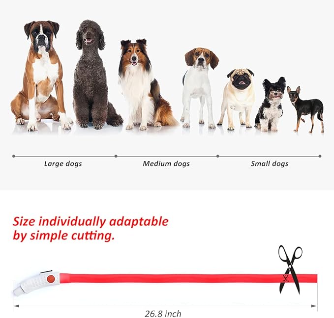 BSEEN Light Up Dog Collar, Silicone LED Dog Collar Rechargeable Cat Collar Cuttable Glowing Puppy Necklace Safety Dog Lights for Night Walking (Red)