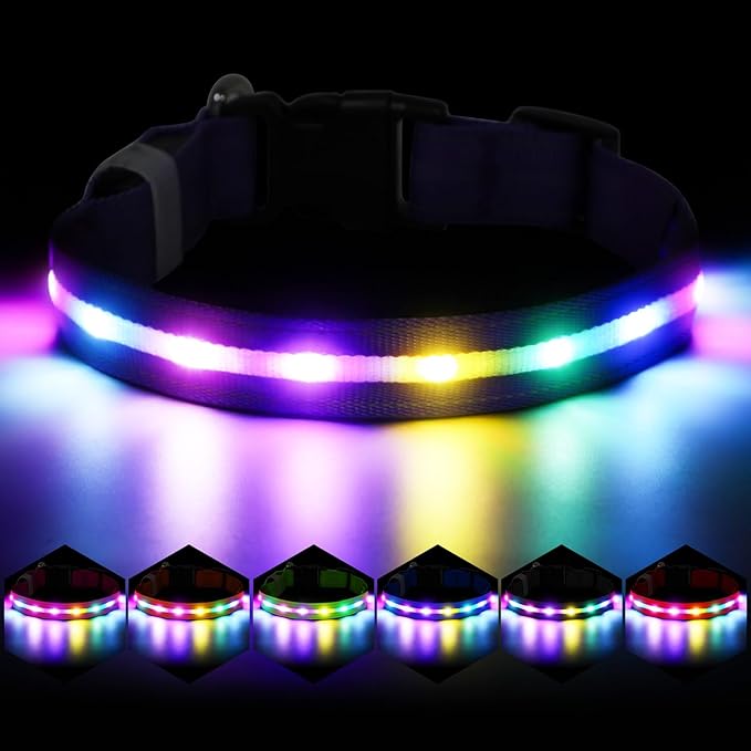 Light Up Dog Collar, USB Rechargeable 6 Modes, Waterproof Charging Port, Long Lasting LED Collar - Adjustable Nylon Reflective for Dogs, Sizes S/M/L (7/9/11 Lights) - 5 Colors (Purple, L)